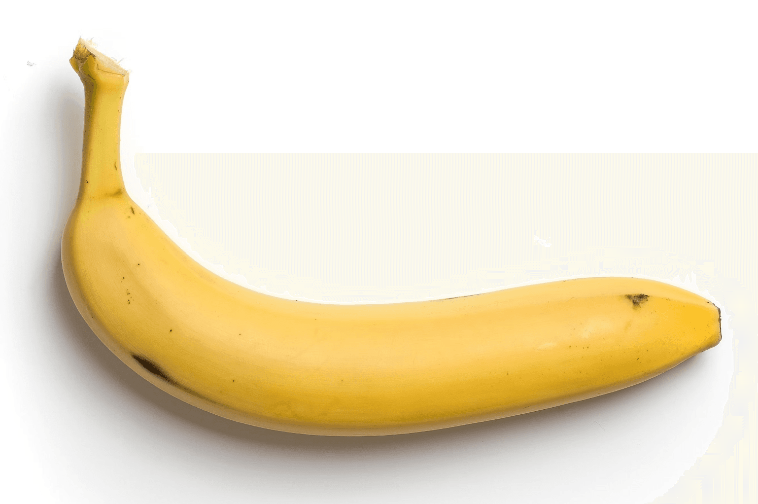 AI Garbage Collector preview